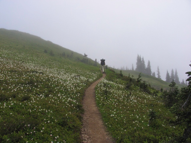 Olympic National Park - High Divide Trail