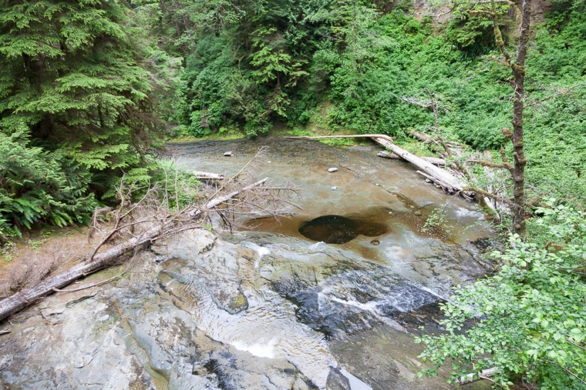 Walbran Creek to Camper Creek